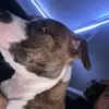 Dallas Patrick - @dpatrick11 - TikTok