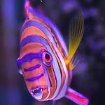 Dallas Patrick - @dallas.patrick.395 - Instagram