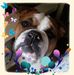 Dallas Pearson - Facebook