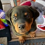 dallas plummer - @plummer.dallas - Instagram