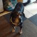 Dallas Rhoads - Facebook