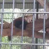 Dallas Richards - @dallas.richards77 - TikTok