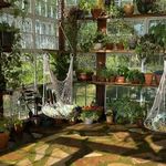 @dallasrootclub - Instagram