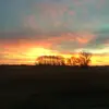 dallasapple - @dallasapple - TikTok