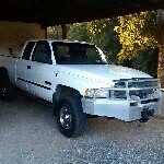 Dallas Sutherland - @the.great.white01 - Instagram