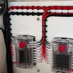 Dallas Sutton - @auto_electrical_fitouts - Instagram