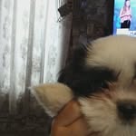 Dalmacio Diaz - @diazdalmacio - Instagram