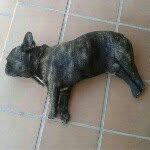 dalmacio diaz peniza - @mrzap98 - Instagram