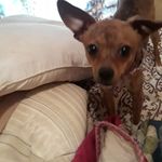 Dalton Armstrong - @dalton.armstrong.7169 - Instagram