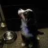 Dalton Armstrong - @dalton.armstrong1 - TikTok