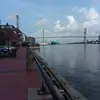 cyndibaxterdalton - @cyndibaxterdalton - TikTok