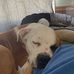 Dalton Baxter - Facebook
