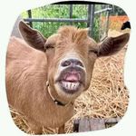 Dalton Bishop - @dalton.bishop.58 - Instagram