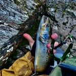 Dalton Buck - @mainelyflyfish - Instagram