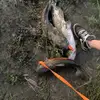 Dalton Carlson - @dalton.carlson - TikTok