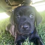 Dalton Clark - @dalton_clark243 - Instagram