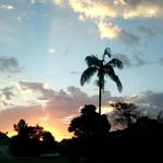 @dalton.comer - Instagram