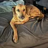 Dalton Cooke - @dalton.cooke1 - TikTok