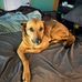 Dalton Cooke - Facebook