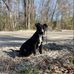 Dalton Cooper - Facebook