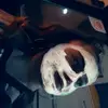 Shane Dalton Doherty - @shanedaltondohert - TikTok