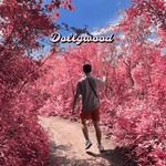 Dalton Ellscheid - @daltonellscheid - Instagram