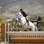 Ella Dalton - @elladalton_eq - Instagram