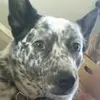 Dalton Santiago Foote - @dalton.foote - TikTok