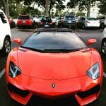 Dalton Francis - @lonley_lobster17 - Instagram