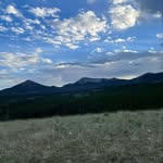 Dalton Francis - @dalton.francis.7509 - Instagram