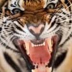 Dalton Gardner - @skyrules12345678 - Instagram