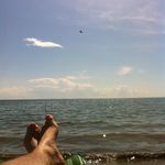 Dalton Grant - @daltoid - Instagram