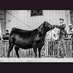Dalton hall - @daltonhall_ - Instagram
