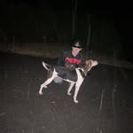 Dalton Hall - @daltonhall56 - Instagram