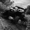 Dalton Harmon - @dalton.harmon5 - TikTok