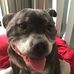 Dalton Howard - Facebook