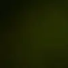 Dalton hughes - @dalton.hughes18 - TikTok