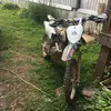 user3100373804949 - @daltonhughes6959 - TikTok