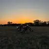 Blackbeauty - @daltonjohnstone61 - TikTok