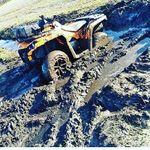 daltonlong - @daltonlong7837 - Instagram
