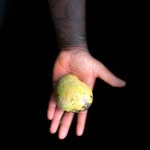 Dalton lopes - @lopes_dalton_ - Instagram