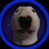 Dalton Lott - @walter_in_space - TikTok