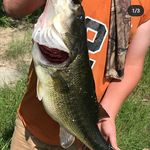 dalton lowery - @daltonloweryfishing - Instagram