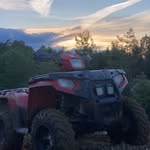 Daltonlyons - @daltonlyons_ - Instagram