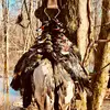 Dalton Mackey - @dmackey_1 - TikTok