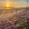 mandydaltonmarsh - @mandydaltonmarsh - TikTok