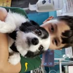 Dalton Martinez - @daltonjeff2010 - Instagram