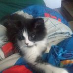 Dalton Mayo - Facebook