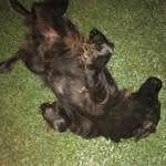 Dalton Mcbride - @daltonmcbride60 - Instagram