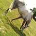 Dalton Mc Cabe - Facebook